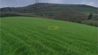 Land for sale in Ponta Delgada, Portugal — €260,000