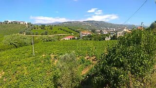 Land for sale in Lamego, Portugal — €63,000