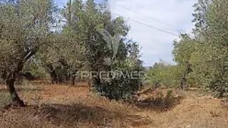 Land for sale in Vila Viçosa, Portugal — €20,000
