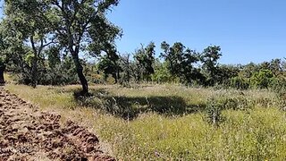 Land for sale in Santiago do Cacém, Portugal — €150,000