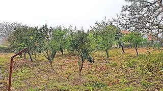 Terreno de 2500 m² em Viana do Castelo