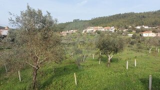 Land for sale in Abrantes, Portugal — €20,000