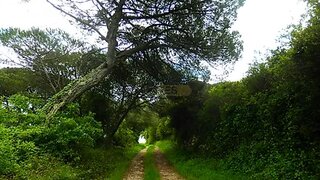 Land for sale in Mafra, Portugal — €55,000