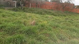 Land for sale in Vagos, Portugal — €70,000