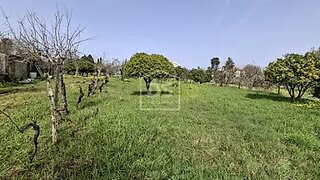 Land for sale in Carregal do Sal, Portugal — €99,000