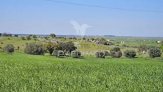 Land for sale in Castro Verde, Portugal — €150,000