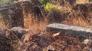 Land for sale in Alvaiázere, Portugal — €18,000
