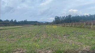 Land for sale in Ponte de Lima, Portugal — €21,000