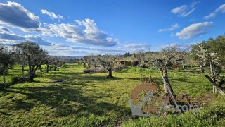Land for sale in Gouveia, Portugal — €147,000