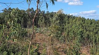 Land for sale in Trofa, Portugal — €4,800,000