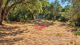 Terreno para venda em Castelo Branco, Portugal — 13 250 €