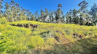 Land for sale in Castelo de Paiva, Portugal — €85,000