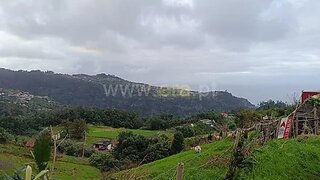 Land for sale in Santana, Portugal — €100,000