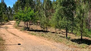 Land for sale in Pedrógão Grande, Portugal — €25,000