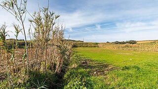 Land for sale in Mafra, Portugal — €100,000