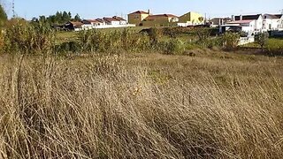 Land for sale in Condeixa-a-Nova, Portugal — €35,000