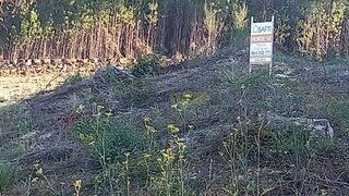 Land for sale in Monção, Portugal — €30,000