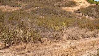 Land for sale in Tavira, Portugal — €30,000