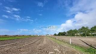 Land for sale in Vagos, Portugal — €325,000