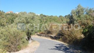 Land for sale in Tomar, Portugal — €25,000