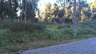 Terreno · 13 400 m² · 600 000 €