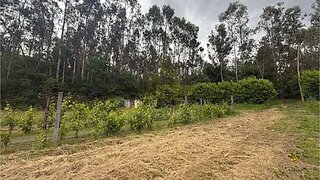 Land for sale in Póvoa de Lanhoso, Portugal — €99,000