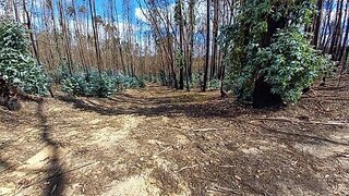 Land for sale in Ourém, Portugal — €10,000