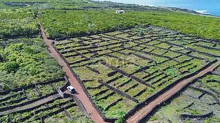 Land for sale in Madalena, Portugal — €135,000