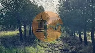 Land for sale in Castro Marim, Portugal — €24,900