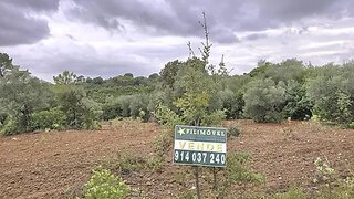 Terreno em Alcanena