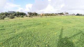 Land for sale in Silves, Portugal — €55,000