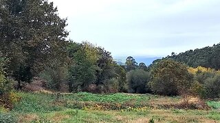 Land for sale in Vila Verde, Portugal — €12,500