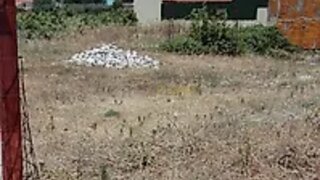 Terreno em Benavente
