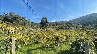 Land for sale in Melgaço, Portugal — €32,000