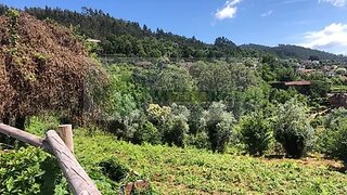 Land for sale in Sever do Vouga, Portugal — €190,000