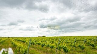 Land for sale in Reguengos de Monsaraz, Portugal — €115,000