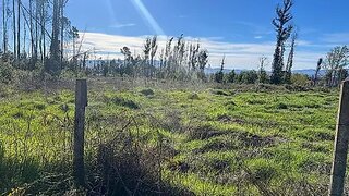 Land for sale in Nelas, Portugal — €45,000