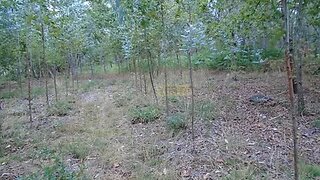 Terreno para venda em Tondela, Portugal — 40 000 €
