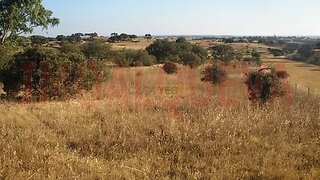 Terreno em Reguengos de Monsaraz