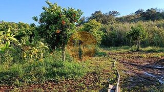 Land for sale in Castro Marim, Portugal — €54,900