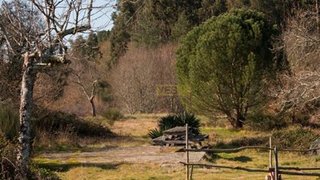 Land for sale in Tábua, Portugal — €45,000