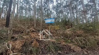 Terreno em Felgueiras