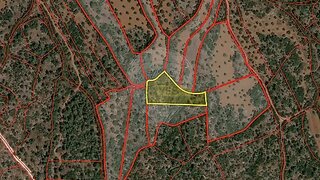 Land for sale in Torres Novas, Portugal — €2,750
