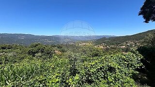 Land for sale in Oliveira de Frades, Portugal — €24,000