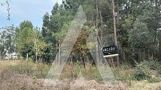 Land for sale in Oliveira do Bairro, Portugal — €37,500