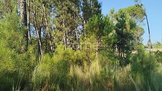 Terreno · 1958 m² · 33 500 €