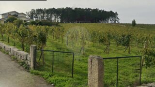 Land for sale in Monção, Portugal — €493,500