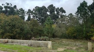 Terreno de 5300 m² em Aveiro