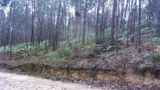 Terreno em Ansião