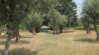 Land for sale in Tábua, Portugal — €29,000